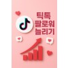 틱톡 팔로워 늘리기 (1,000명단위)